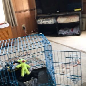 Meet your Posher, Jeff